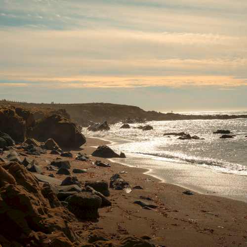 A rocky beach scene at sunset: waves gently meet the shore, cliffs and boulders on the left, golden sky reflecting on calm water. ending sentence.