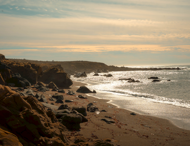 A rocky beach scene at sunset: waves gently meet the shore, cliffs and boulders on the left, golden sky reflecting on calm water. ending sentence.