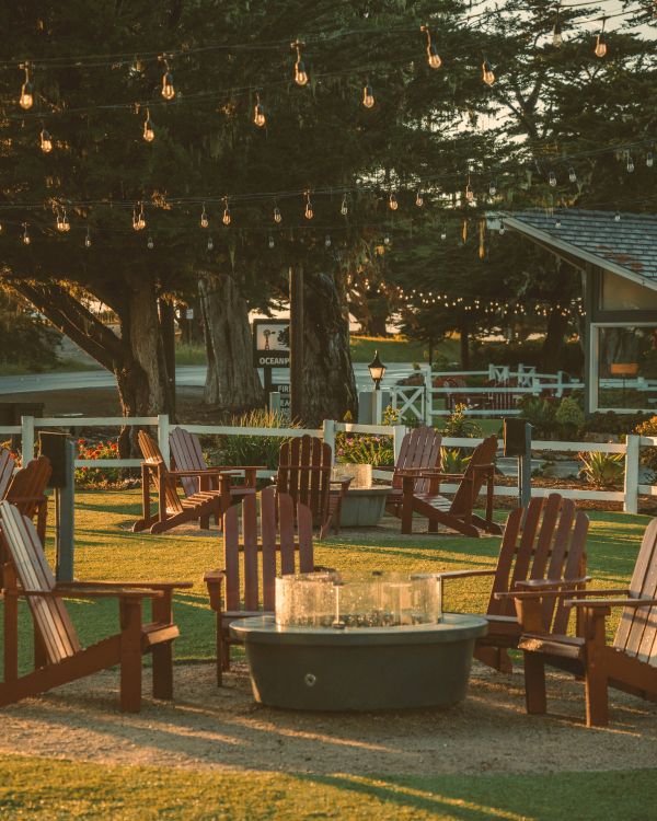 A cozy outdoor gathering area with wooden chairs arranged around a metal fire pit, string lights overhead, in a sunny backyard setting.