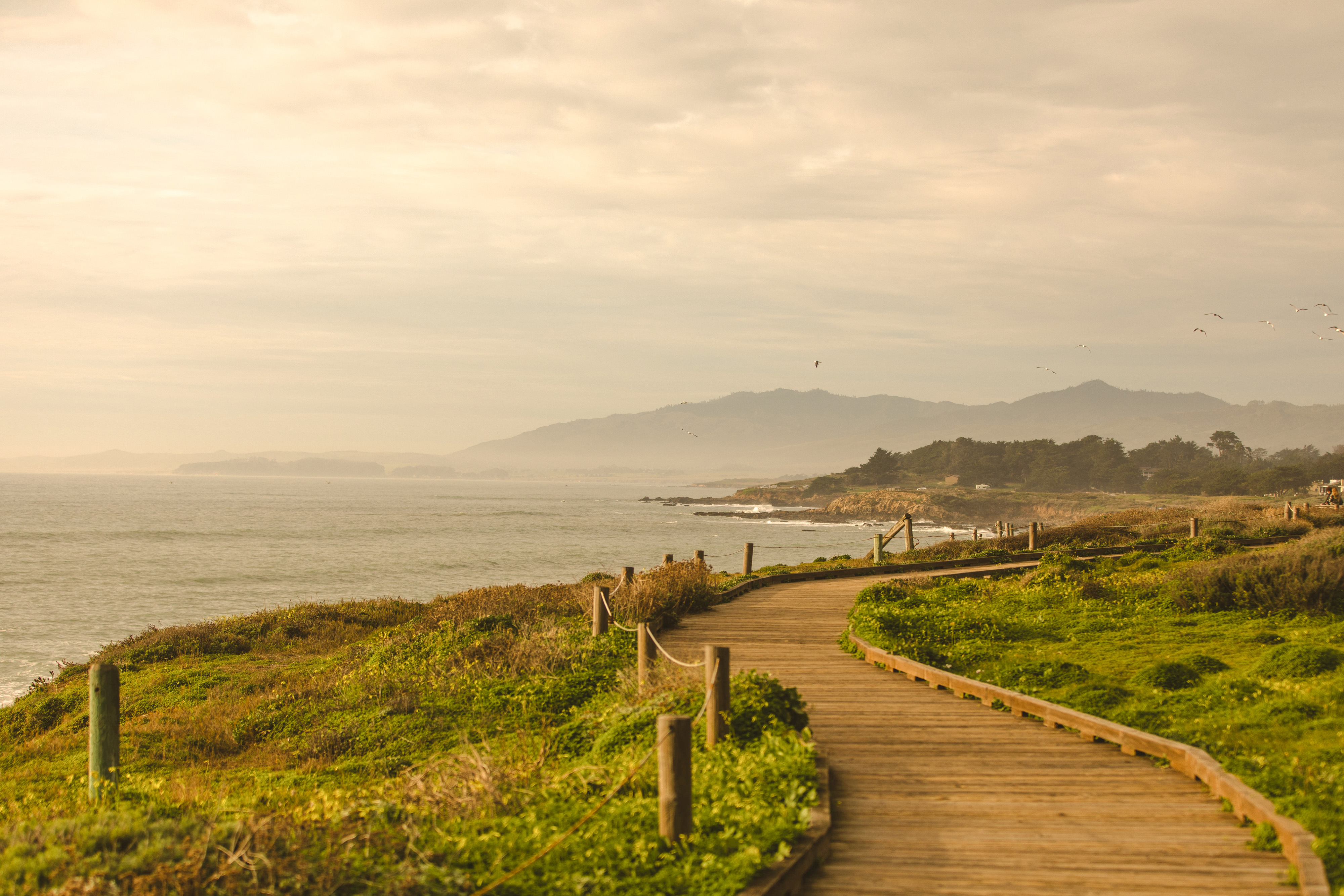 Cambria CA Attractions | Oceanpoint Ranch