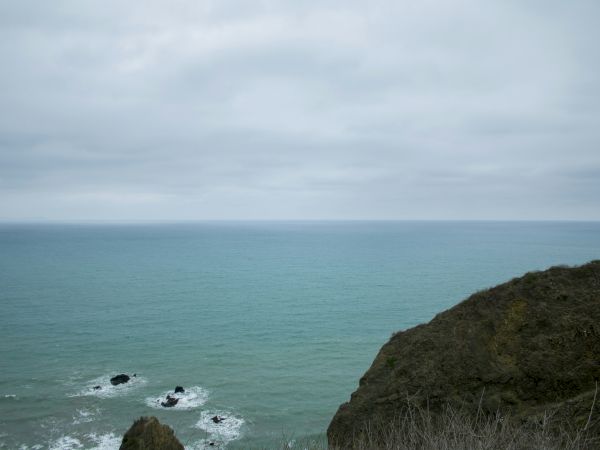 A rocky coastline meets a calm sea under a cloudy sky, with greenery on the cliff edge and gentle waves below.