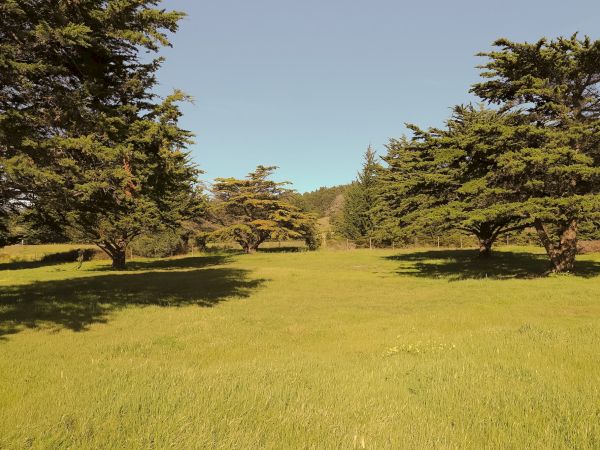 Oceanpoint Ranch