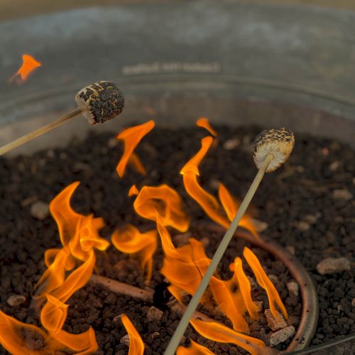 A campfire with orange flames around hot coals; two long sticks with marshmallows roasting above the fire.