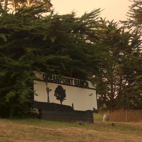 A weathered outdoor sign reads &ldquo;OCEAN POINT RANCH&rdquo; with a tree silhouette, set among tall pines on a grassy field at dusk.