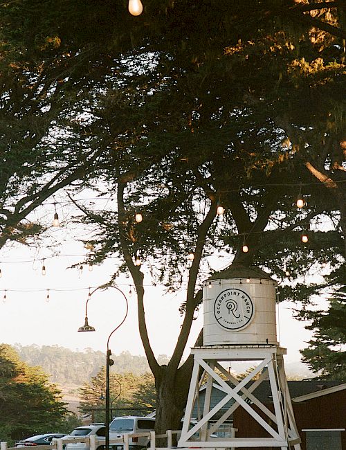 Outdoor clock tower under string lights, trees, and a parking lot in the background, sunny evening atmosphere.