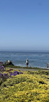 A person stands by the shore along a coastal walkway, with colorful flowers in the foreground and calm sea under a clear blue sky.