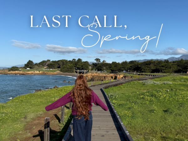 A person with long hair walks along a wooden pier toward a rocky shoreline and blue sky, text overlay reads &ldquo;Last Call, Springmelody.&rdquo;